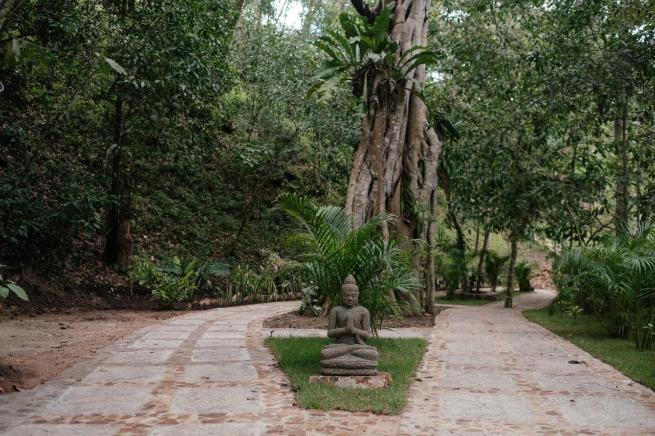 Equilibrium Healing Resort Cabo Corrientes Zewnętrze zdjęcie